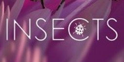 insects_uma_experiência_xbox_one_x_enhanced_logo